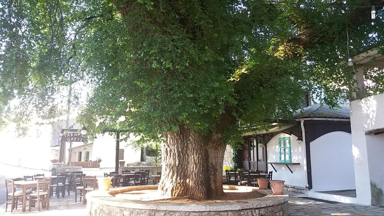 Elm Tree Dream Catcher Strinilas Exterior photo
